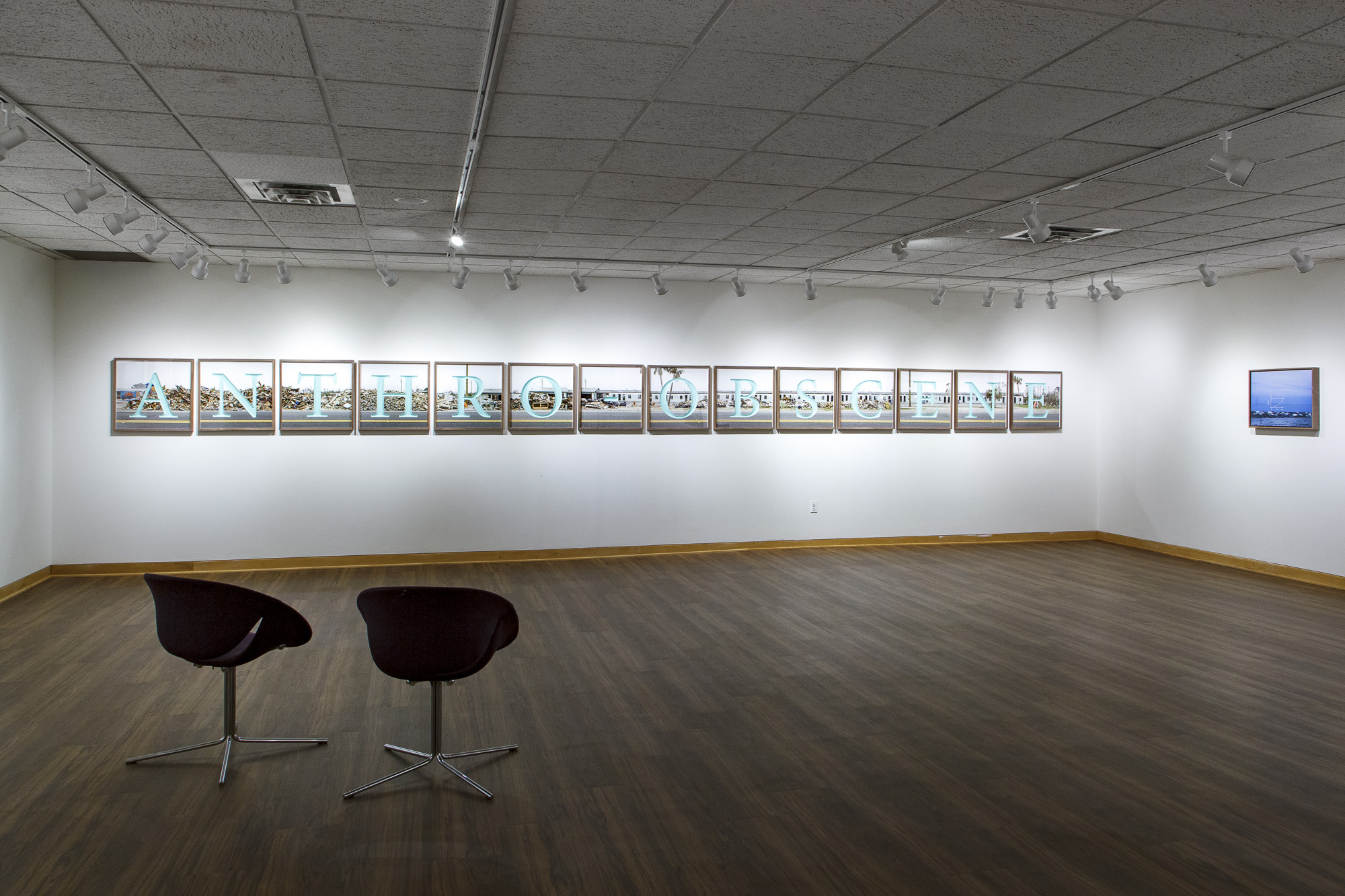 A series of landscape photographs hung in a line on a wall with the letters ANTHRO OBSCENE superimposed over the natural scene
