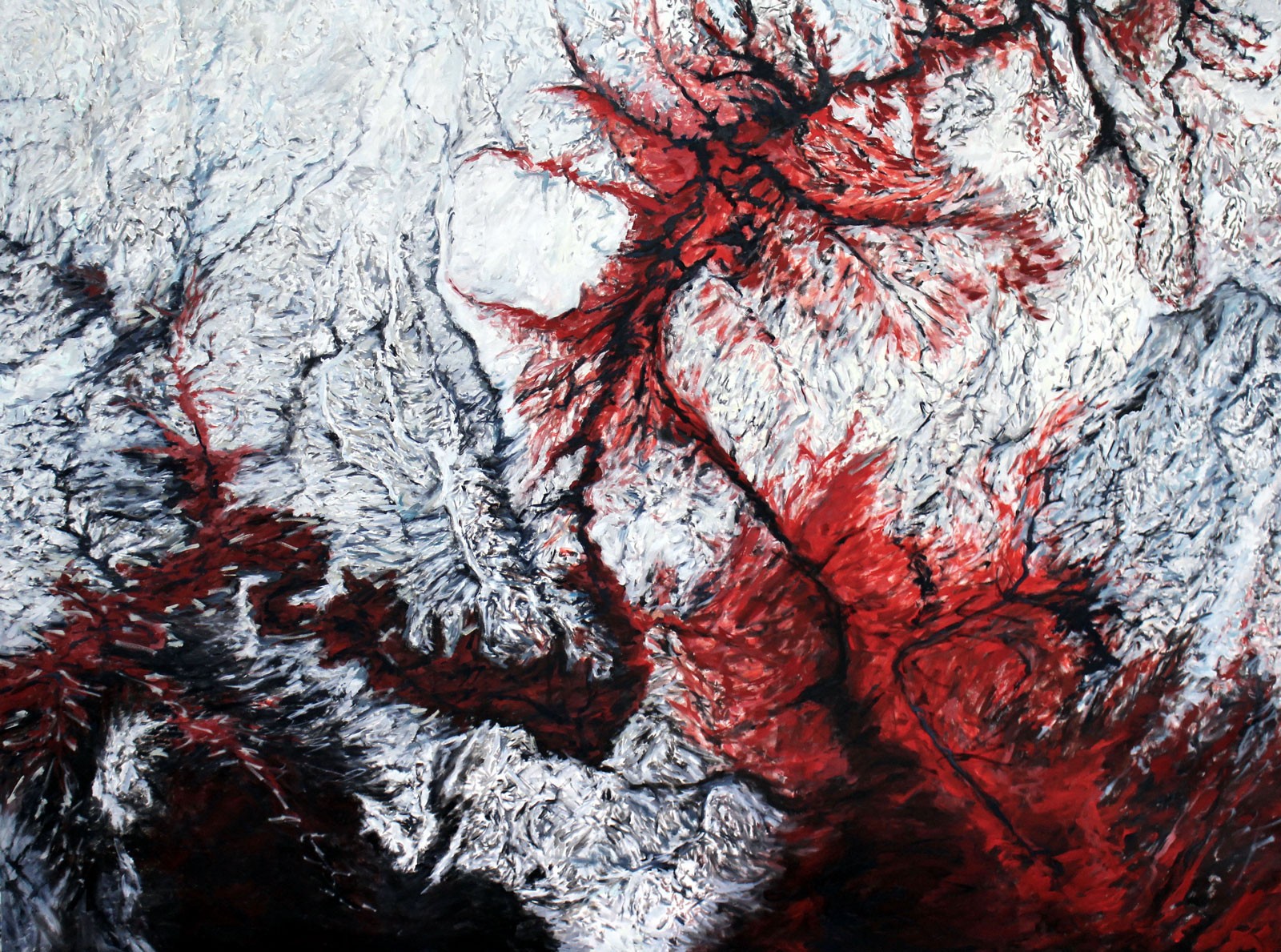 Abstract white, red, and black cartography of a canyon from above