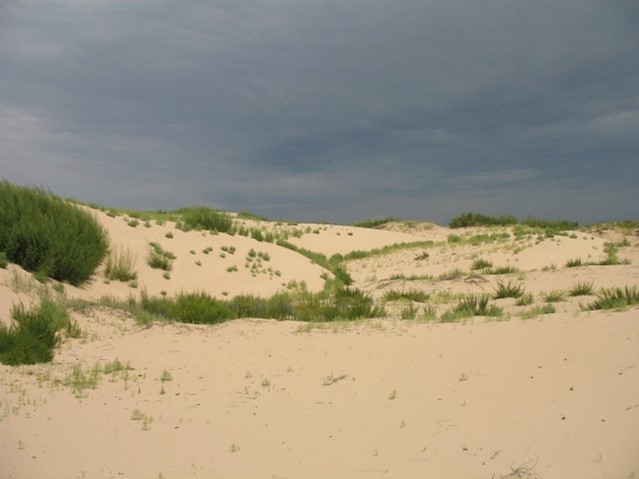Vegetation-greening.jpg